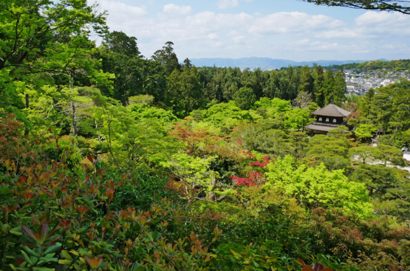 銀閣（観音堂）の南に広がる森。如意ヵ岳の山の頂から昇った月がそのまま高く、南に動きながら昇ってゆく。