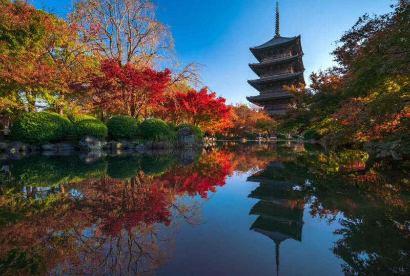 The landscape of the lotus pond, the five-story pagoda, and Toji Temple